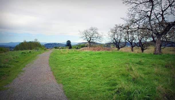 Mountain Biking Trails on Powell Butte